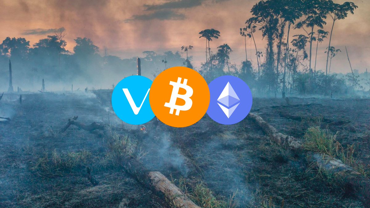 0xBackwards's tweet photo. Big Hollywood stars, Victoria Secret models, and other pretty people post pictures of the burning Amazon rainforest for some clout.

One Tree Planted actually does something.

It's simple: $1 = 1 tree planted 🌱

Oh, and they accept $BTC, $ETH &amp; $VET.

👉🏻 https://t.co/8pDp60U5zC https://t.co/LLSuds5Mim