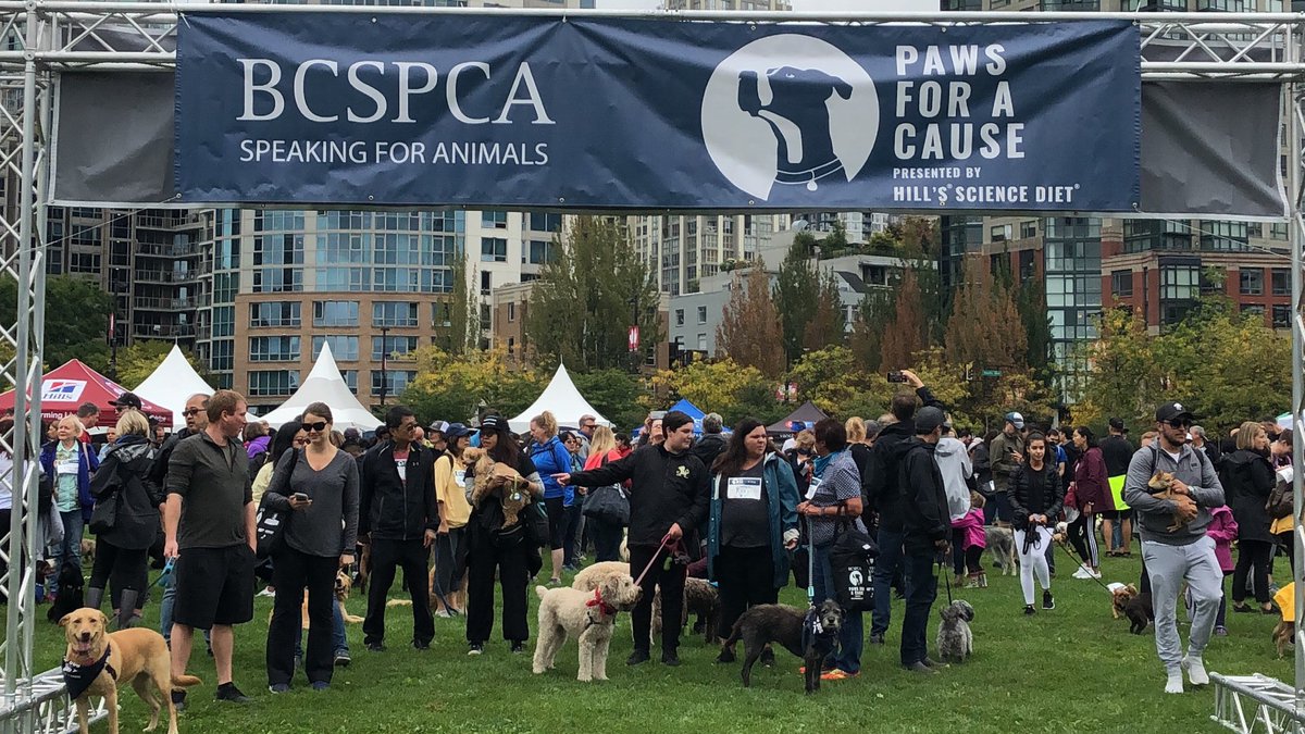 BC_SPCA's tweet photo. 🐾Thank you to our incredible presenting sponsor Hill’s Science Diet for making Paws for a Cause pawsible! Their generous support gives B.C.’s most vulnerable animals a second chance to live healthy, love-filled lives. @HillsPet 🙌🏼 #pawsforbc https://t.co/5Zh1nkcAqS