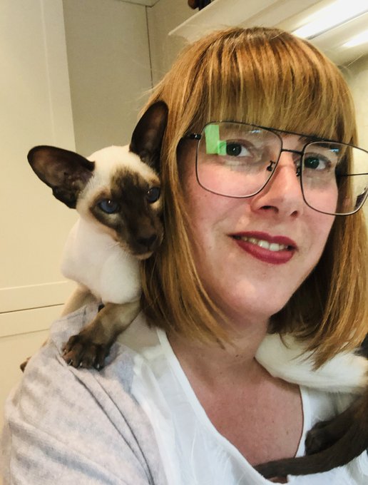 TW Pornstars - Alexis Fox. Pictures and videos from Twitter. Page 9