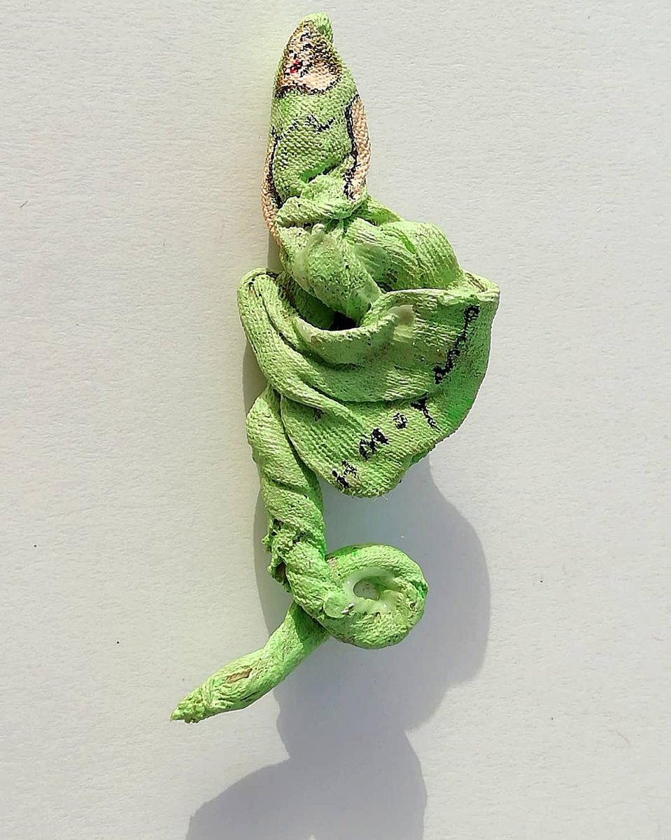 HMOYANO's tweet photo. "La petite Moyanita verte"
King Collection 2019 / Colección Rey 2019 / Col.lecció Rei 2019
https://t.co/oueNbnlekd
#art #artist #artonfashion #arte #lepetitemoyanitarose #arteinteractivo #arteenmoda #king #kingcollection #hmoyano #antoniomoyano #themoyanas https://t.co/bvOGfHakJq