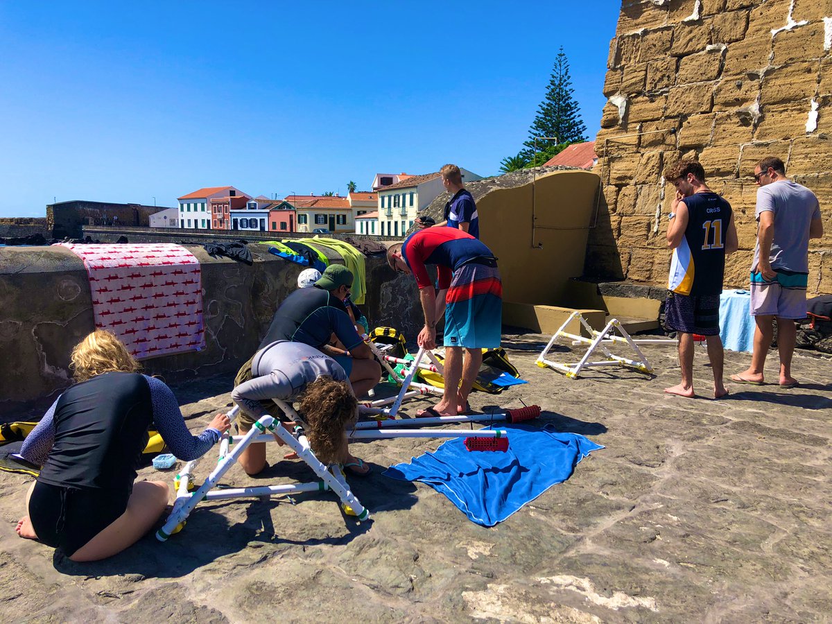 UoEFieldAzores's tweet image. Amazing first day on Faial - 2/3 groups did snorkel surveys and deployed BRUVS off a beach in Horta. Best part was spotting lots of little critters like the Mediterranean Moray (Muraena helena). It was a tough day on #FieldAzores. #FieldCourseFortnight #ExeterGlobal