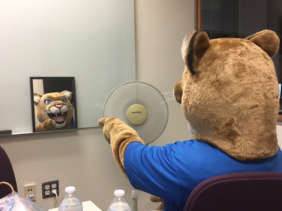 eecatpvcc's tweet photo. Paws says, ‘Rock this Monday Pumas, you got this!’ #pumapride #motivationalmondays #bts #youispretty #youiskind #yougotthis #pvccaz #adayinparadise 📸: @Chocolatetoursc @PVCC_Official https://t.co/WvPcuMhNeE