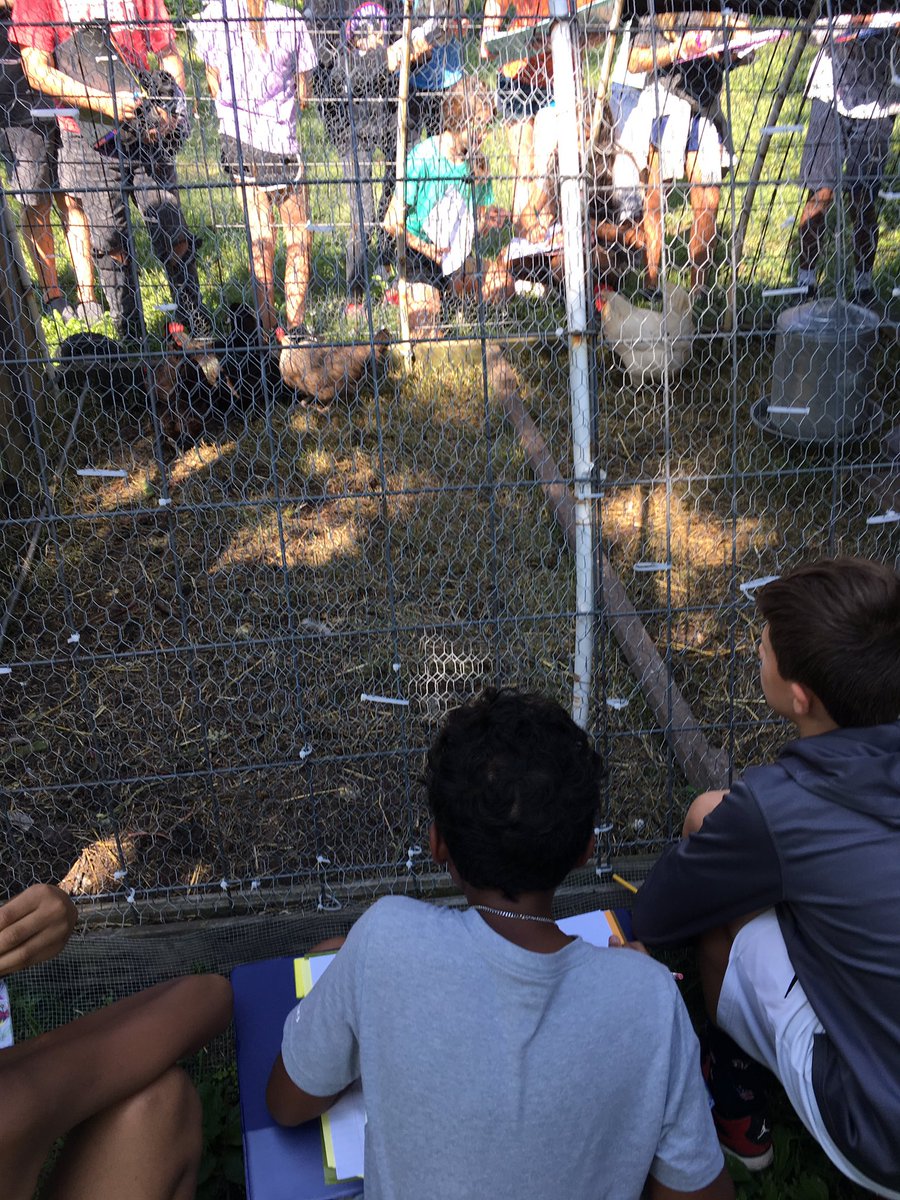 msethornburg's tweet photo. Great day of learning at @EarthDanceFARMS to kick off our Sustainability unit https://t.co/JYGl0HnQ1e