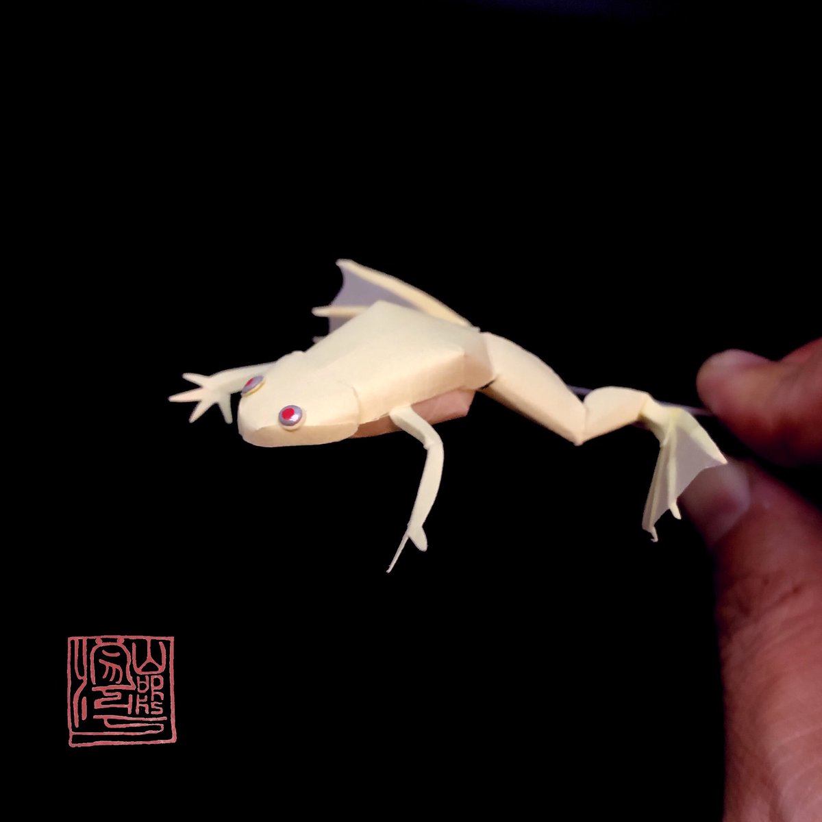 アフリカツメガエル