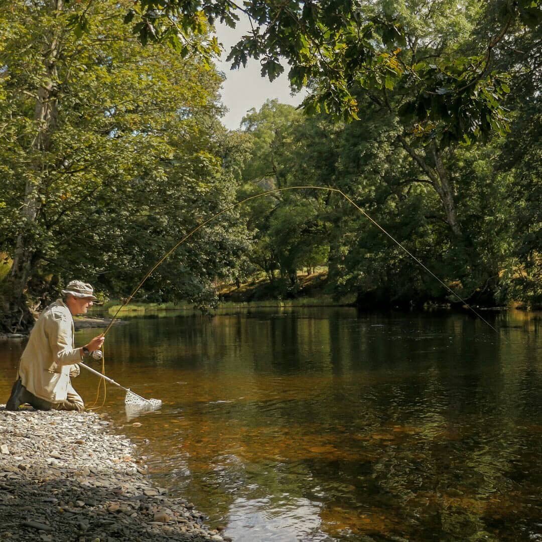 ctsfishing's tweet photo. The perfect sequence. Luke Bannister finds a hungry grayling on a small stream somewhere in Wales. #ctsfishing https://t.co/phWWurG8hW