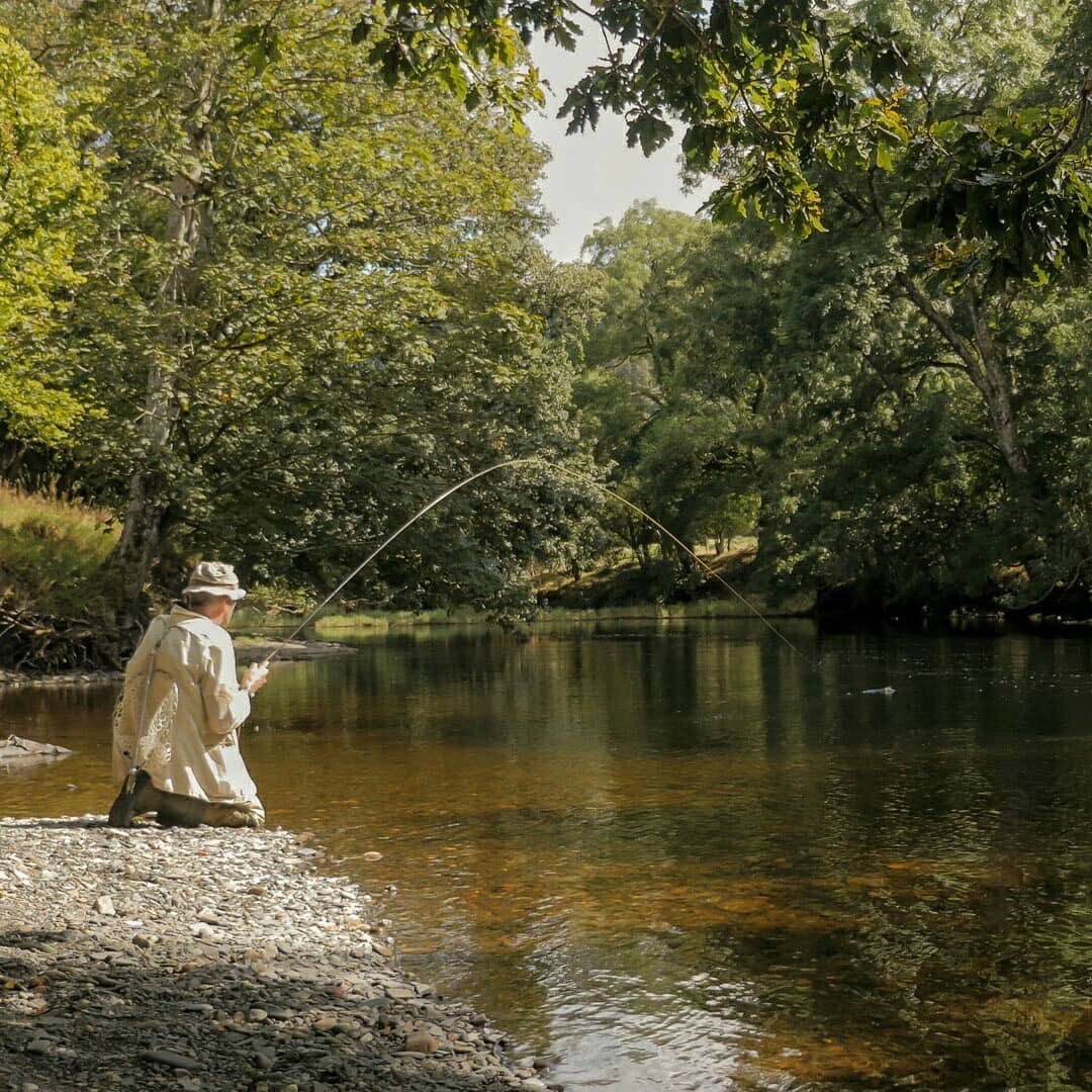 ctsfishing's tweet photo. The perfect sequence. Luke Bannister finds a hungry grayling on a small stream somewhere in Wales. #ctsfishing https://t.co/phWWurG8hW