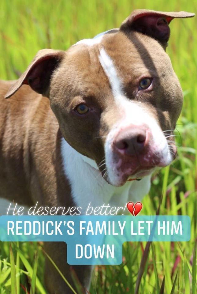 𝐄𝐌™ tweet media