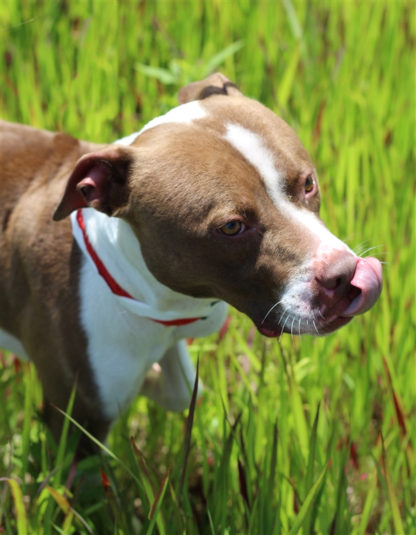 𝐄𝐌™ tweet media