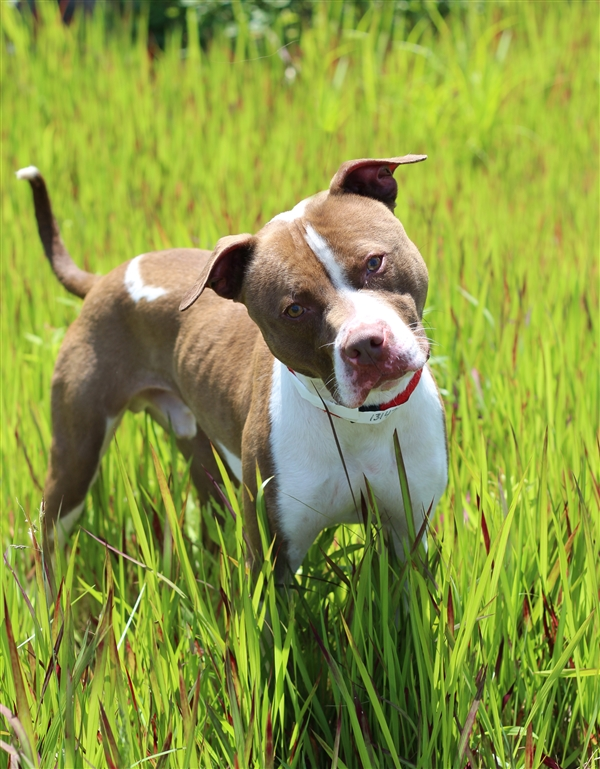 𝐄𝐌™ tweet media