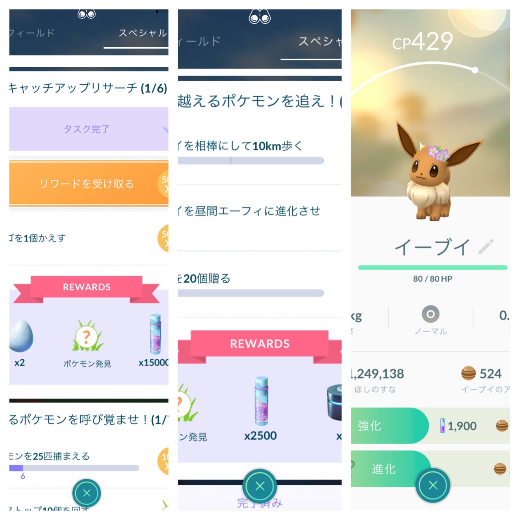 きじとら 全く放置している旦那アカウントを暇つぶしで進めていたら 時を越えるポケモンを追え で花飾りイーブイ出てきた ということはキャッチアップリサーチも進めれば色違い花飾りイーブイ確定 花飾りイーブイ 色違い花飾りイーブイ T Co