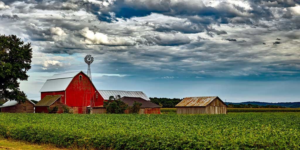 SR Research Ltd. tweet media