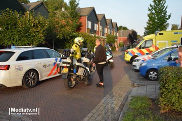 Ver imagem no Twitter