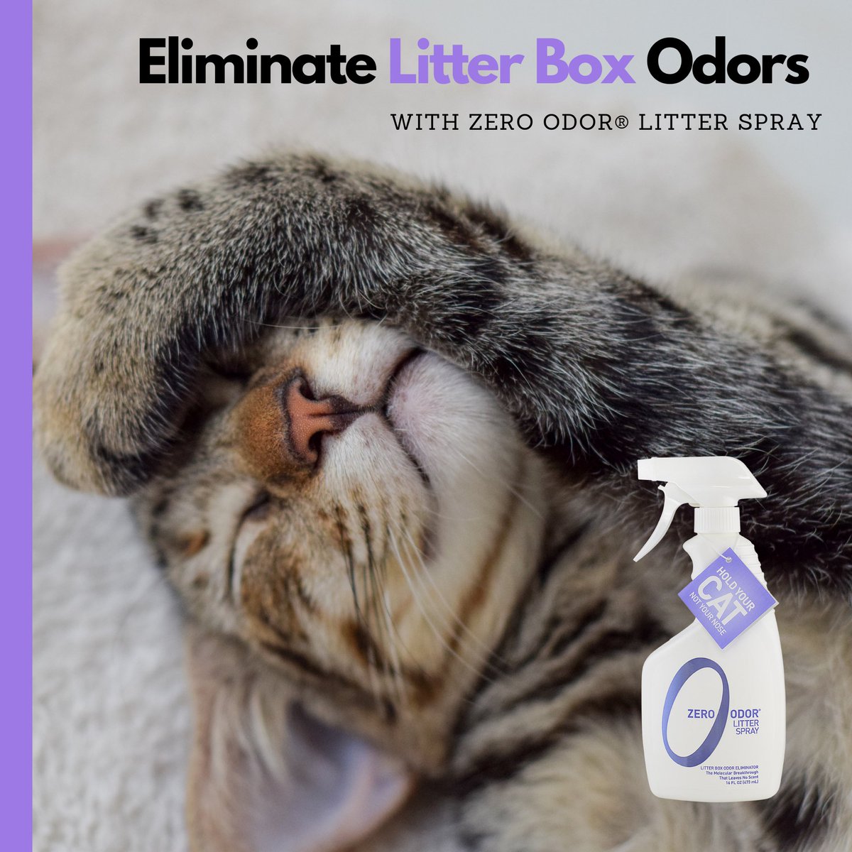 No need for embarrassment! Permanently eliminate litter box odors with just a few sprays 🥳 Order today with the link in our bio. 
.
.
.
#odoreliminator #litter #litterbox #catlitterbox #litterboxodors #odorremoval #odors #catsofinstagram #cats #pets #pet