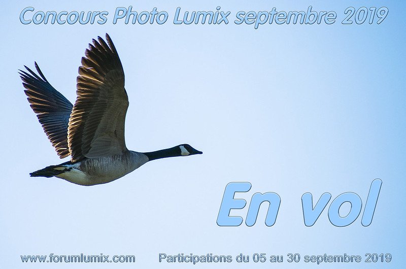 Forum_Lumix's tweet photo. #Concours #Lumix #forumlumix @Photo24fr 
https://t.co/WVGLbLarbw https://t.co/uzKT8xV8qB