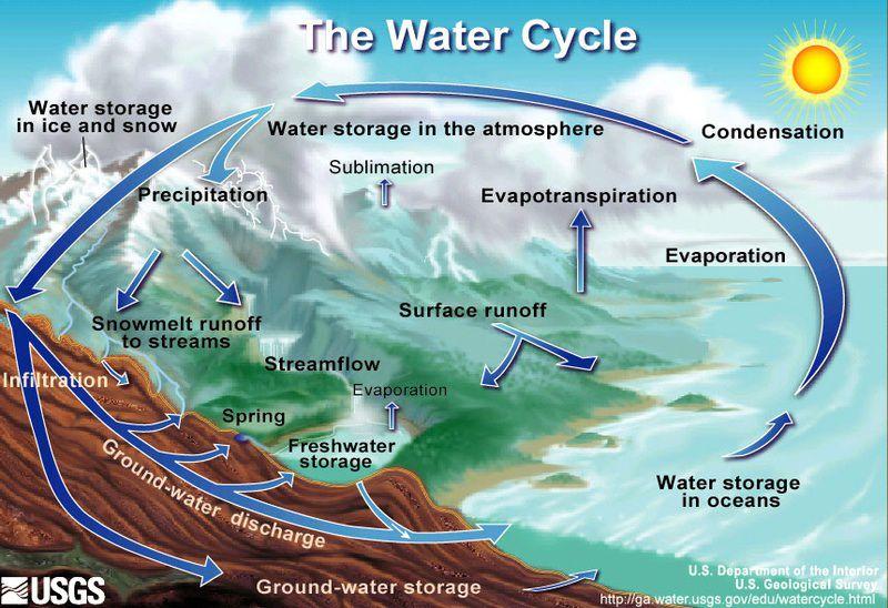 NatGeoEducation's tweet photo. The water cycle is how water moves from the land into the atmosphere, and then back to the land and ocean. Download this illustration from our website to use in your classroom. 

https://t.co/Zs8GjPXF1d https://t.co/nbUBNdCQCD