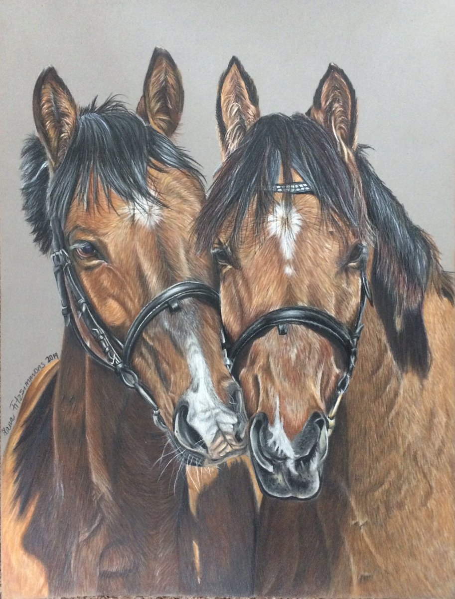 “Side by side” #horse #horseportrait #equestrian #equestrianart #equine #equineartist #horsedrawing #animalart #drawing #colouredpencils