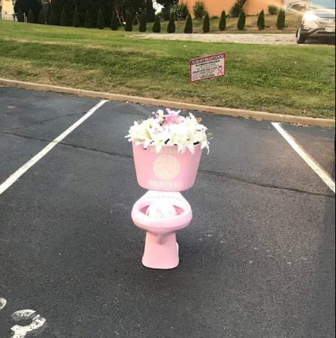coach_calley's tweet photo. Shoutout to @MogadoreVolleyB for helping me have some fun on a Monday morning! Mogadore's mayor....err I mean math teacher wasn't expecting this variable!! #volley4acure #flushoutcancer https://t.co/E3wq4z41pE
