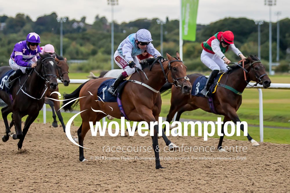 WolvesRaces's tweet image. Our 4th race of the evening @WolvesRaces sees HAVANA JANE take the Win. That&apos;s a hatrick for @oismurphy!!! 🐎🐎🐎

If we had a match ball it would be yours!👏

Well done to #AndrewBalding 

Pics📷@WolvesRacesPics