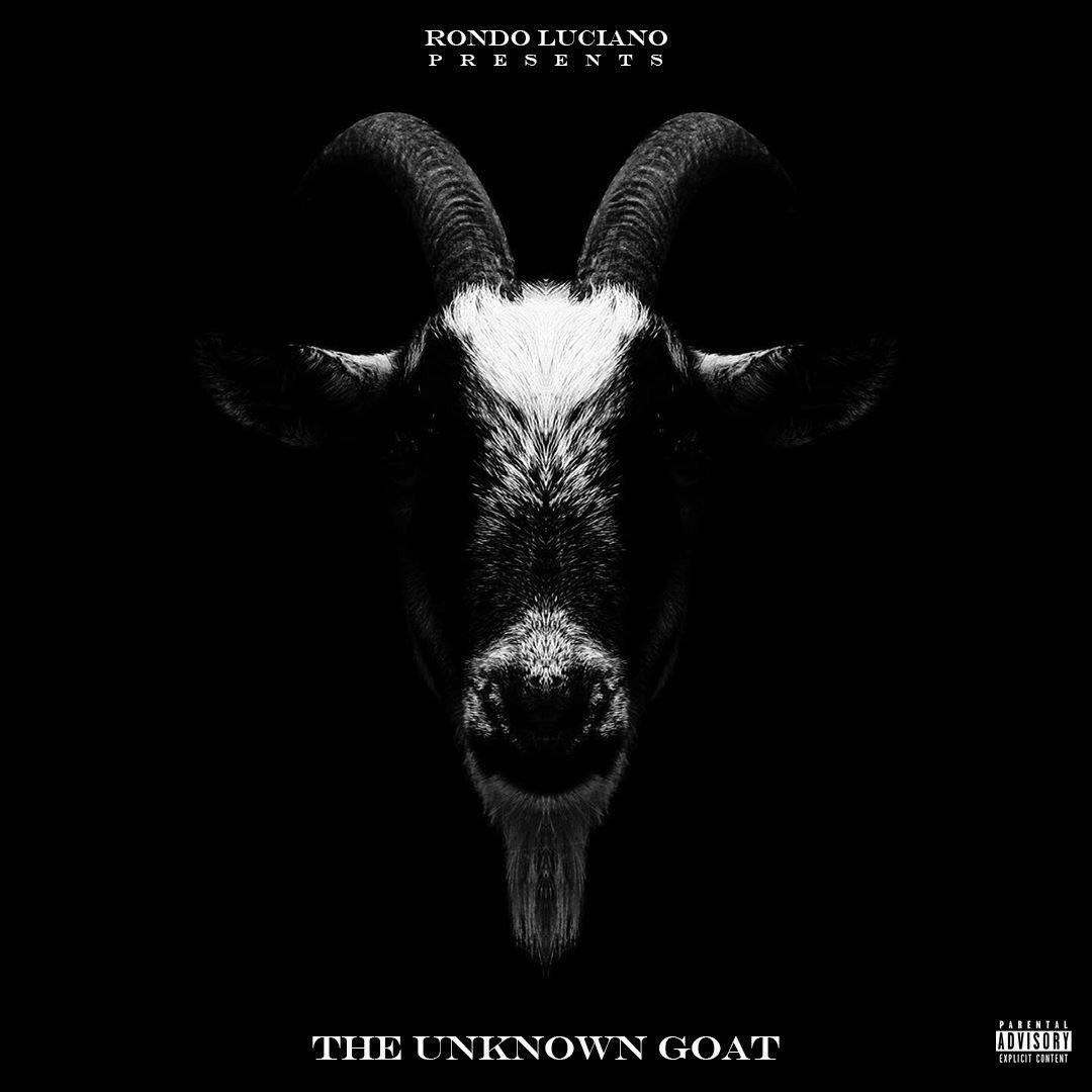 Heavyhustle44's tweet photo. @RondoSavage41 @Heavyhustle44 🔥🔥🔥 #theunknowngoat streaming on all platforms https://t.co/7dwPfbkncz