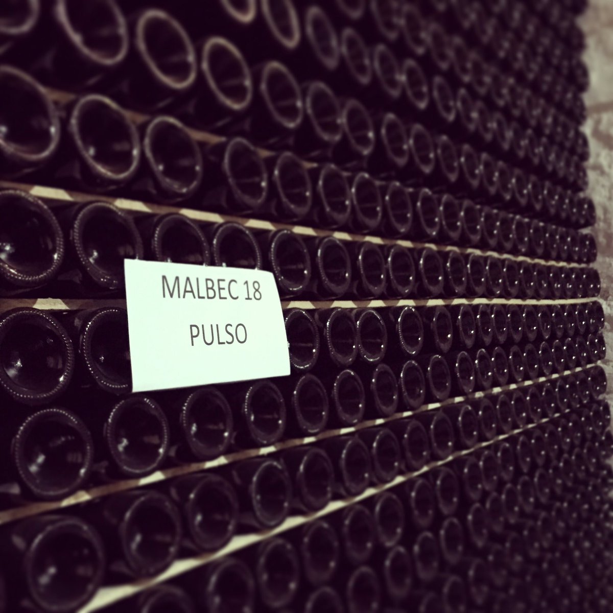 PulsoWines tweet media