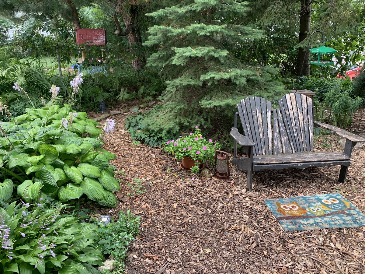 KGjerdset's tweet photo. I also gave my #botanical art students a tour of my yard. Here’s how things are looking today as we head towards fall. #plabts #phenology #native #prairie #nature https://t.co/Yqx3bIBFFT
