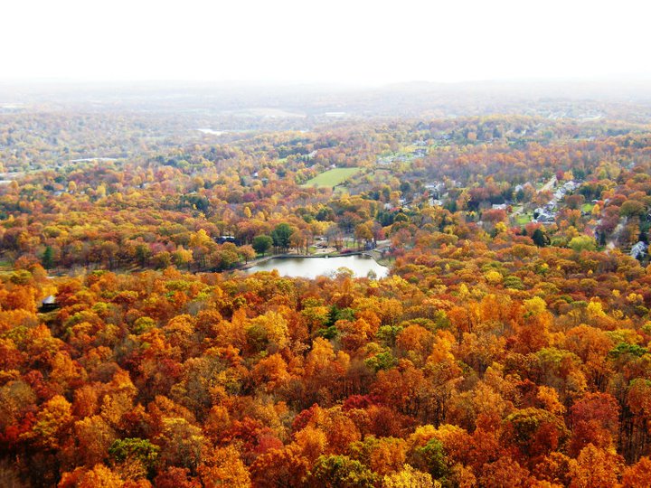 CTvisit's tweet photo. We can't wait for Connecticut's fall foliage to be as vibrant as ever this year😍 https://t.co/E71cl4aSza