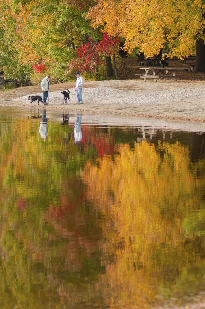 CTvisit's tweet photo. We can't wait for Connecticut's fall foliage to be as vibrant as ever this year😍 https://t.co/E71cl4aSza
