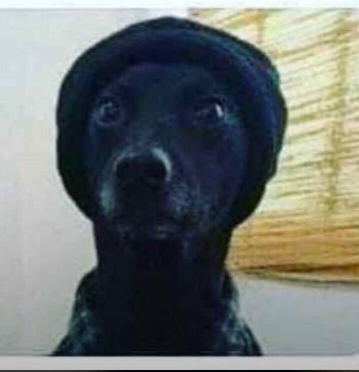 UncltrdSwine_'s tweet image. PENDANT CE TEMPS....😭😭😭