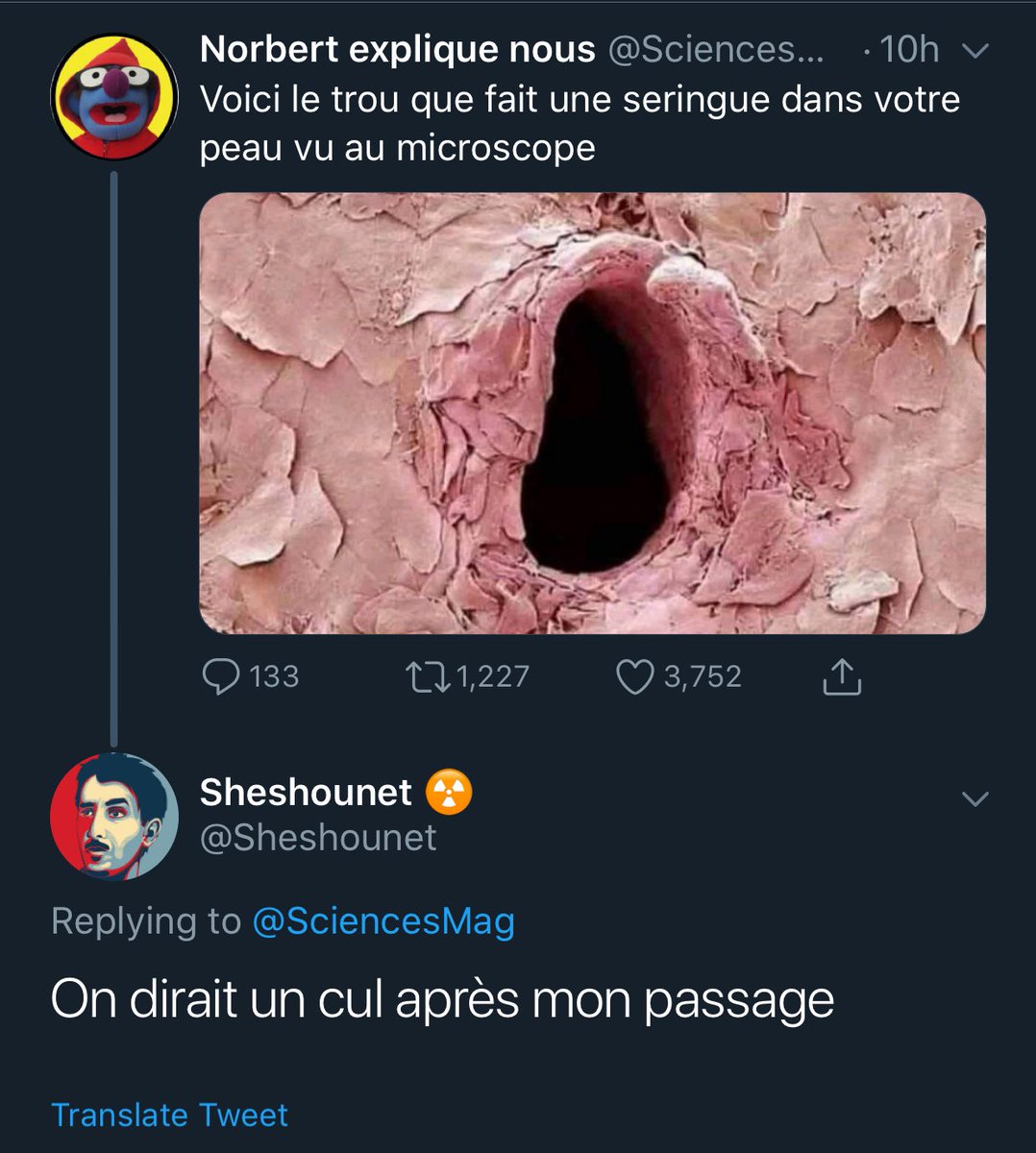 UncltrdSwine_'s tweet image. PENDANT CE TEMPS....😭😭😭