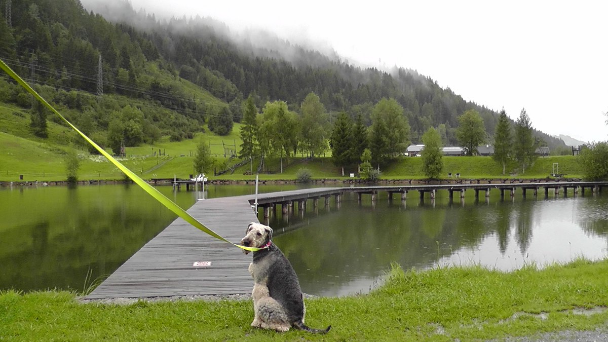 I've been looking forward to a swim in the lake at Woferlgut campsite in Austria but with an air temperature of less than 10 deg C, I think I'll give it a miss. Shame. Even Ellie doesn't fancy it.
🇬🇧🇫🇷🇧🇪🇱🇺🇩🇪🇦🇹