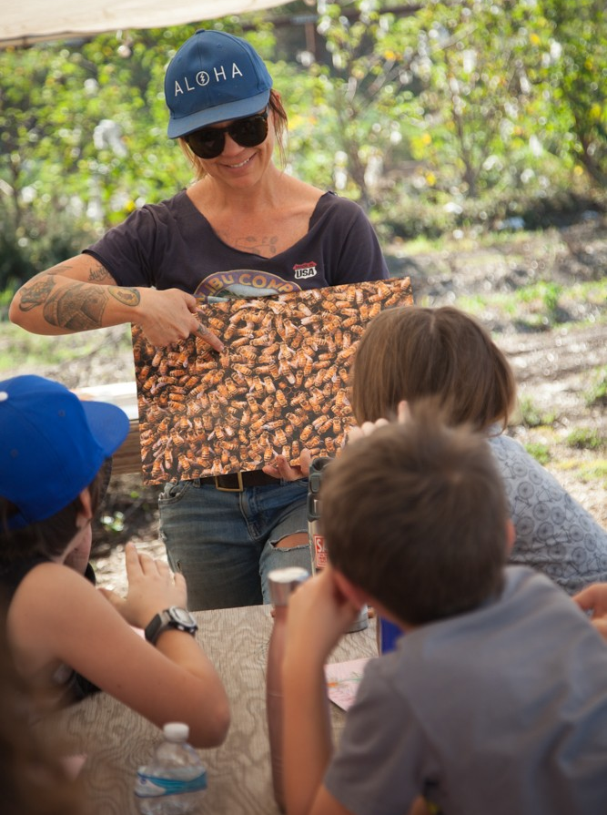 CAGreenRibbon's tweet photo. Can you spy with your little eye, a group of students in an #outdoorclassroom learning about bees?! #CAGreenRibbon 2018 Green Achiever and #EdGreenRibbon Awardee incorporates #outdoorlearning into their #curriculum and teaches their students about beekeeping. How cool is that?! https://t.co/N3Grrf7jpR
