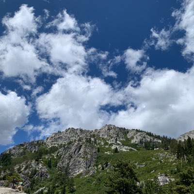 NatureIsLife_ tweet picture