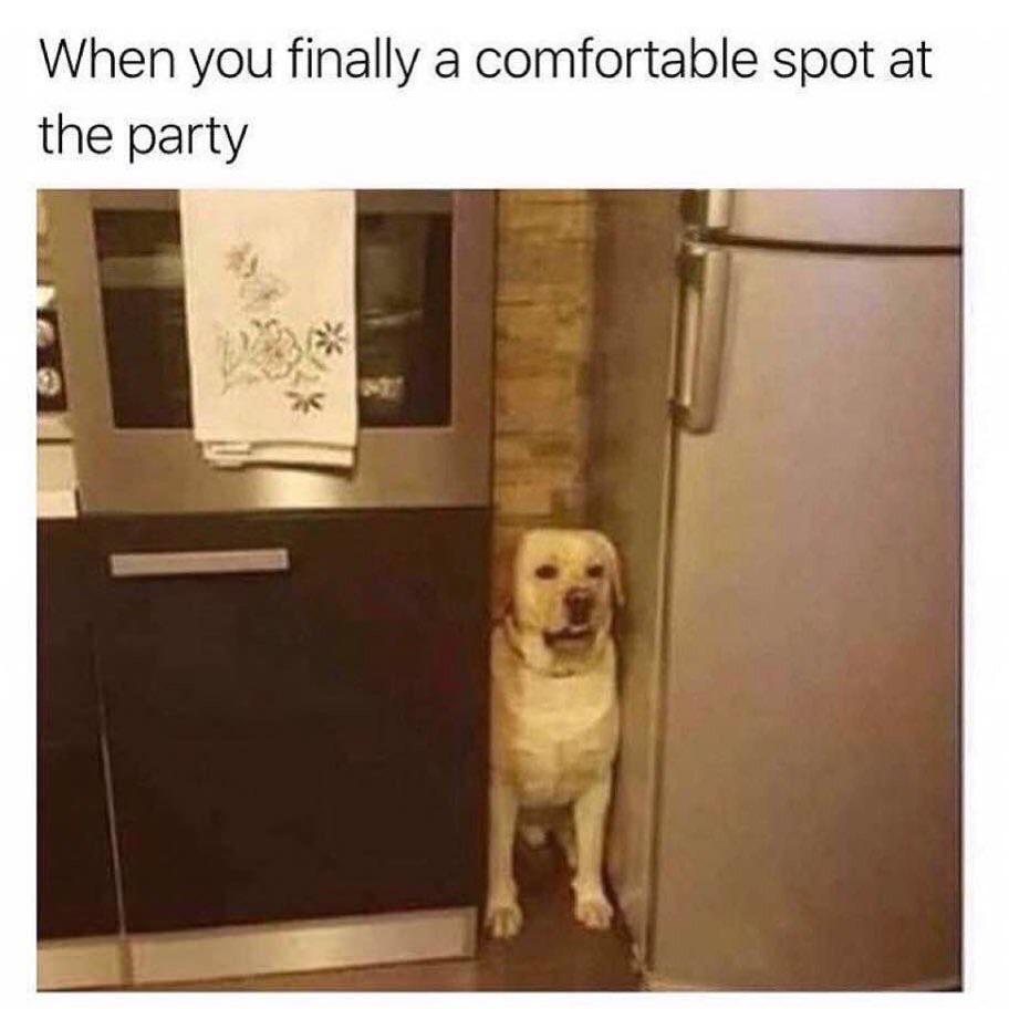 MensHumor's tweet photo. Spirit animal. https://t.co/JQmdU4uFaG