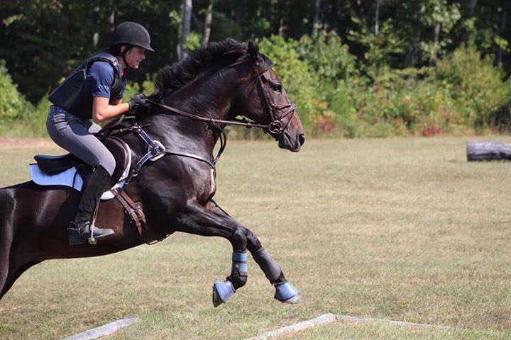 Wofford part 2 🤩 Who’s ready for next year???