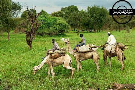 abazaralkahli's tweet photo. مدينة الابيض
عروس الرمال
#السودان_جمال_الطبيعه https://t.co/y3PLYv4rtd