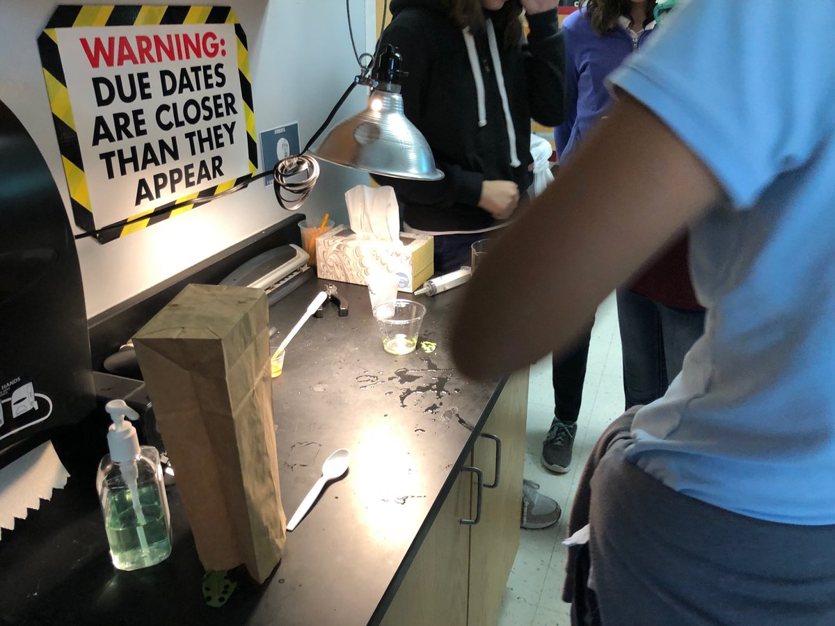 waymirescience's tweet photo. ⁦@WMSwarrior⁩ students investigating photosynthesis in leaf disk lab ⁦@forneyisd⁩ ⁦@ForneyISDFamily⁩ https://t.co/IRDmJuOn93