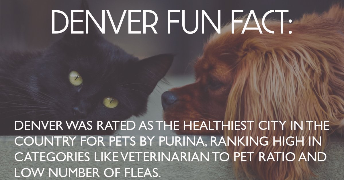 ColoradoRPM's tweet image. Just giving you, and your pets, another reason to want to live here in Denver! 
#FunFacts #DenverLiving #MoveToDenver
