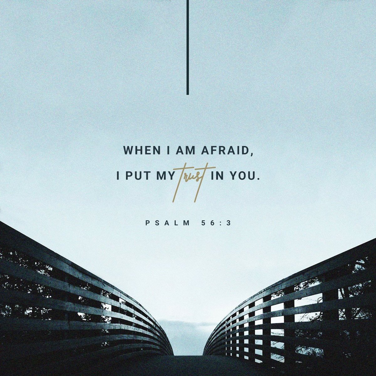 d3ucegotthejuic's tweet photo. When I am afraid, I put my trust in you.
Psalm 56:3 NIV
https://t.co/1BVPNnrFOh https://t.co/FJEDrnE2Y7