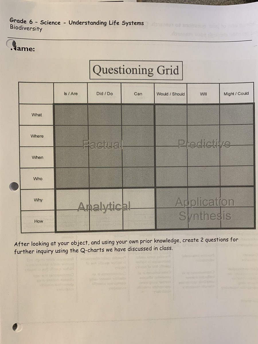 Bedford_Mrs's tweet image. Gr. 6 PLN Provocateurs! Would you like some provocations for Life Systems? I was thinking of you when I was in Myrtle Beach, got a few extra 16-25 MILLION year old shark teeth. Comment below w your name&amp;amp;school &amp;amp; I’ll put them in the courier! #WhatYouDoInMB #FirstCome @DPCDSB_BFA