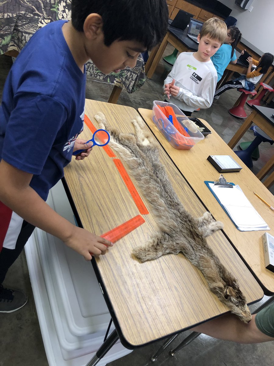 McCallFourth's tweet photo. Ms. Drury’s and @MrsDillard4th classes had a blast exploring and learning at the @HolifieldSLC today! #noplacelikemccall #hslclearns #pisdsciencerocks https://t.co/Yeh4UVV0dU