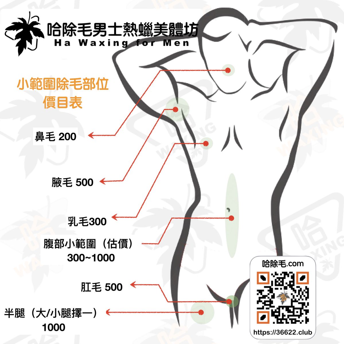 哈除毛專職男性熱蠟除毛sur Twitter 哈除毛 簡易價目表明碼標價 童叟無欺 不推銷 不玩文字遊戲加價 官方網站參考 T Co 6ehudeoys9 男性除毛