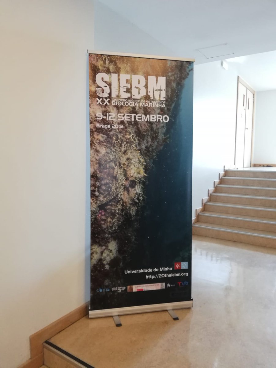 liferemopaf's tweet photo. @liferemopaf presente en el XX Simposio Ibérico de Biologia Marina #SIEBM celebrado en Bragha (Portugal). 👀👉https://t.co/SvAxpwqQzA.  #Patella #ferruginea. @ACCIONA @unisevilla @puertodemelilla @LIFEprogramme https://t.co/RGfKJu4b1f