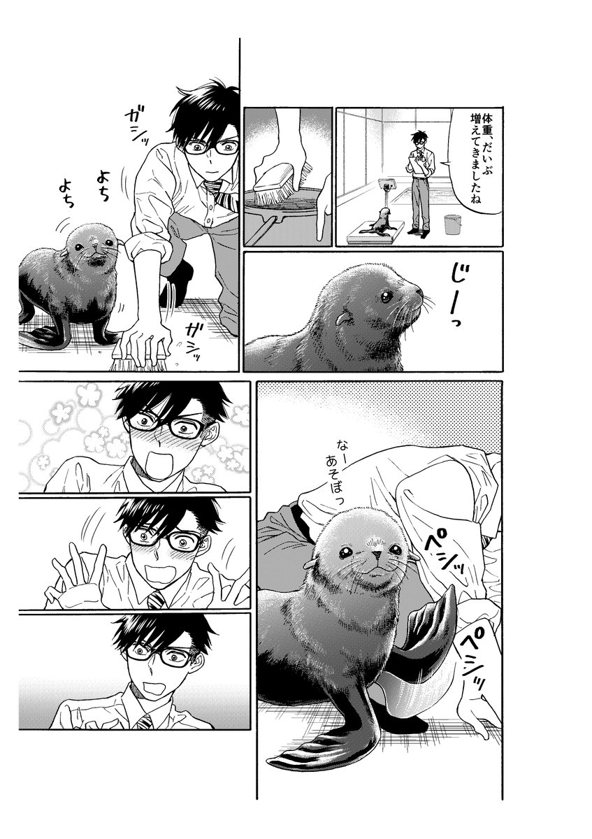 海辺に漂着したキタオットセイを拾った話 5 8 イシイ渡 連載準備中の漫画