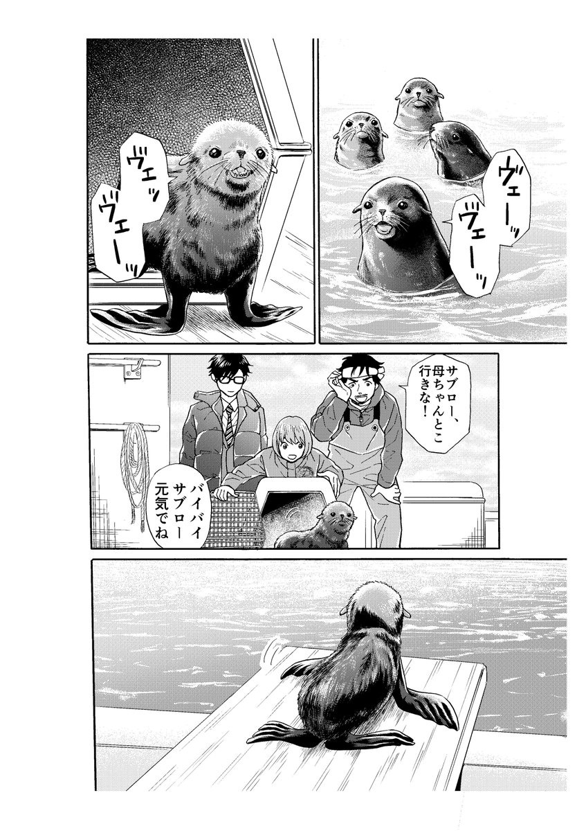 海辺に漂着したキタオットセイを拾った話 7/8 