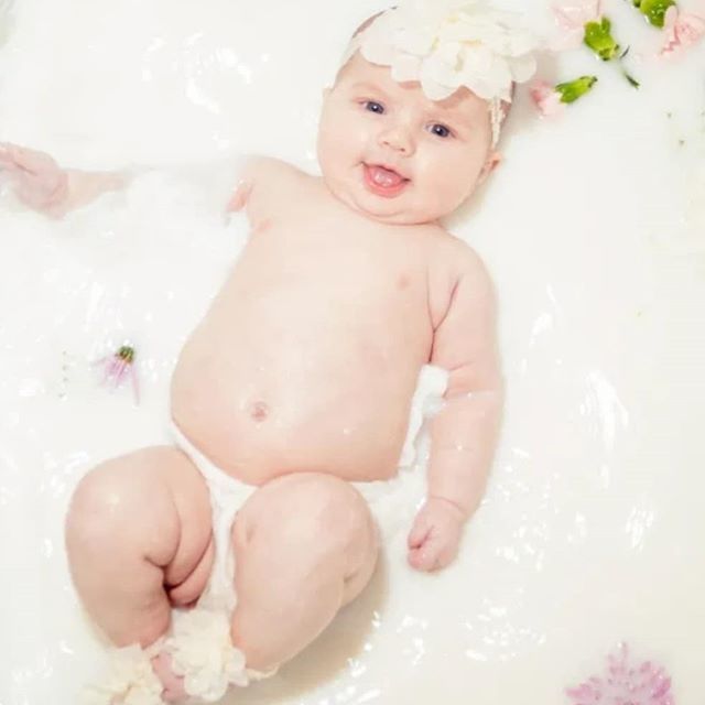 MichelleHapple's tweet photo. This cutie pie is over on the blog today... https://t.co/m8o4CidPg6 https://t.co/dT8DXmg6SX https://t.co/HIpVa7xl9G