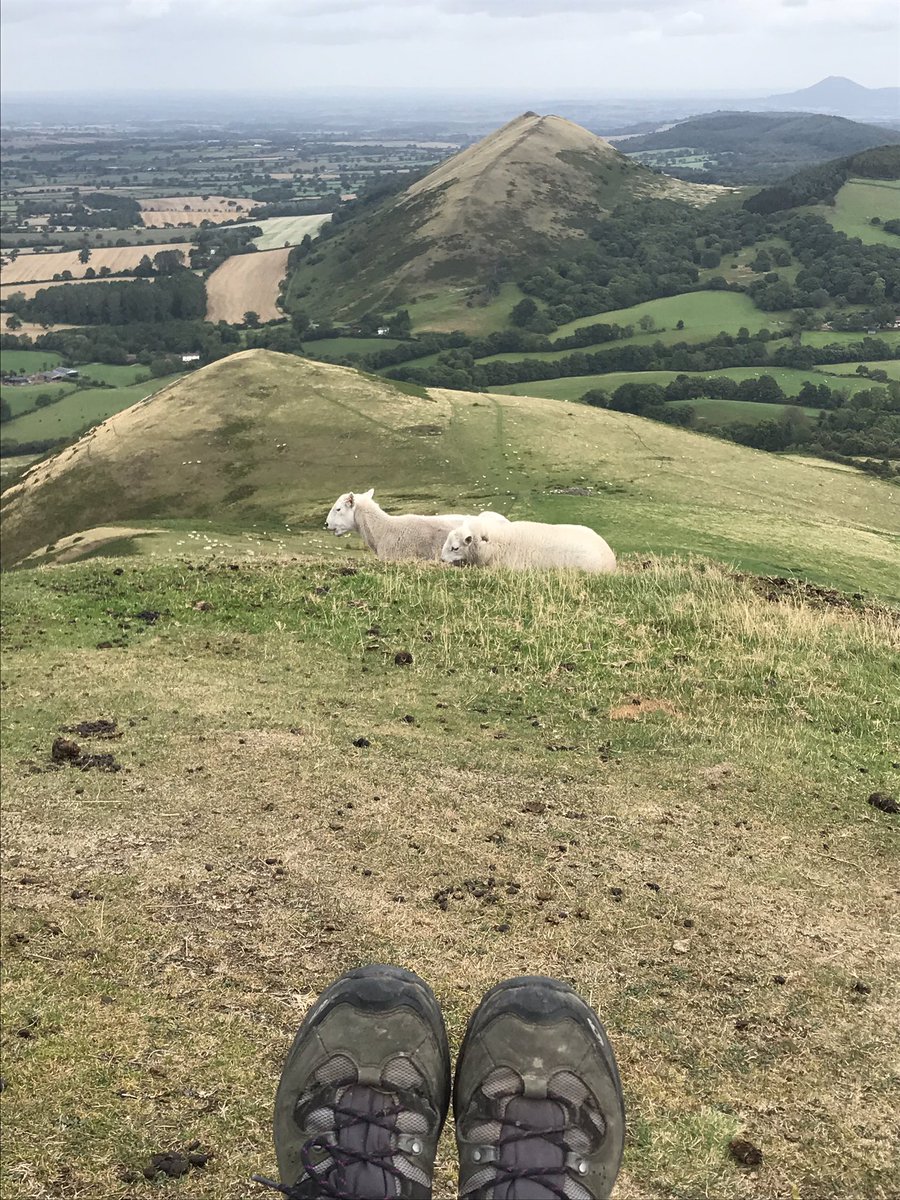 Crouchendtiger7's tweet photo. @WhoseShoes @katieendsinE @FWmaternity @winners352 @SagefemmeSB @Carysthemidwife @SaschaWells @MatExpBazaar @JacqueGerrard @gabbybambi @drtraceyc @SusanAinsworth2 @nickiveg @sthknhs @bsarahbennett @LeedsHospitals @deepasanthosh @DrEdebates @jimgthornton @Prerana_Issar @horizonsnhs @lizsargeant @NHS_RobW @helenbevan @NavinaEvans @BeckyMalby @dunkleybent @BarnsHospCEO @samanthallen Thanks Gill - pretty good company Iโm keeping here ๐
And that reminds me - Iโve got a couple of #ShoesWithViews I owe you! https://t.co/5X7SKpeCgq