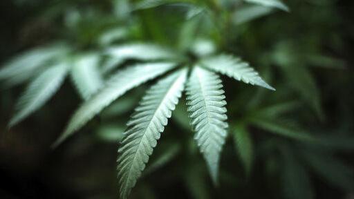 MMPconnect's tweet photo. #weed #cannabiscommunity #CBD-

Missouri allowed more than 100 would-be marijuana-business applicants who encountered technical issues with the state website to file after the deadline. 

Officials allowed 109 applications to be submitted after the  ...-https://t.co/U3gzhKx1Md https://t.co/at4Kf7o85q