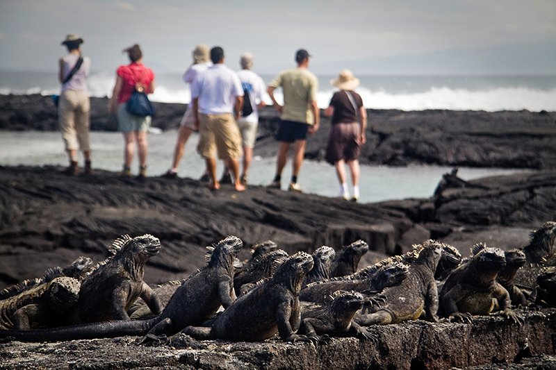 ExploreSouth's tweet photo. Introducing our new Ecuador &amp; Galapagos Family Adventure. 

10 days, starting at $3,595

https://t.co/NtaxvqCELx https://t.co/kLiAXlylwp