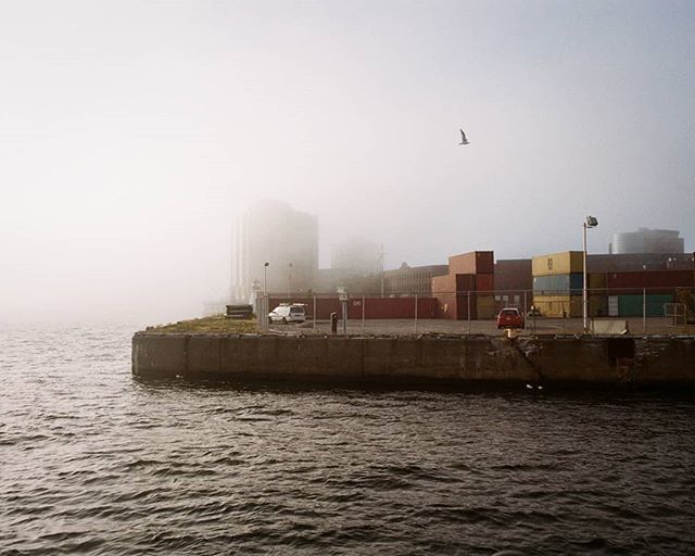 BrianWalsh12's tweet photo. 🌫 + 🏙 .⠀⠀⠀⠀⠀⠀
Minolta X-700 || Portra 400
.
.
.
.
.
#drivebyfilm #shootfilm #filmisalive #analog #filmisnotdead #35mmfilm #madewithkodak #portra400 #minoltax700 #noisenb #explorenb #viewsNB #eastcoastcreatives #discovernewbrunswick #explorecanada… https://t.co/ZpVWoUZcPa https://t.co/J0CWvIeeg8