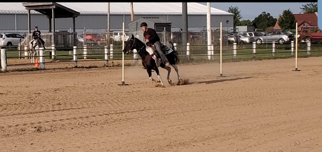 Clinton High School Equestrian Team!
@ClinAthletics 
@clintoncommscho